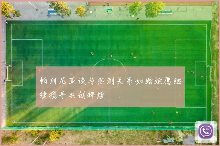 帕利尼亚谈与热刺关系如婚姻愿继续携手共创辉煌